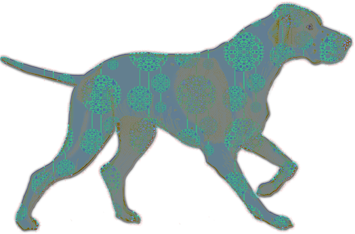 Wild Dog - Wild Dog (1250x1250)