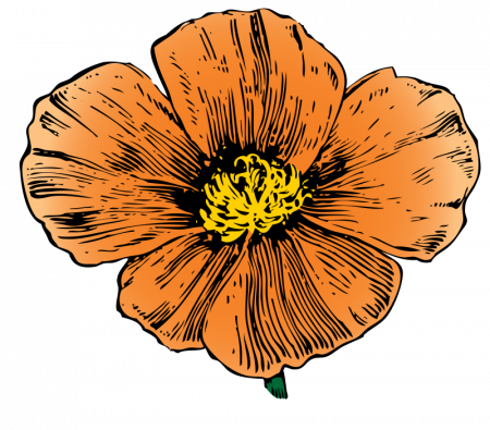 Free Mexican Flower Clipart - Free Mexican Flower Clipart (450x395)