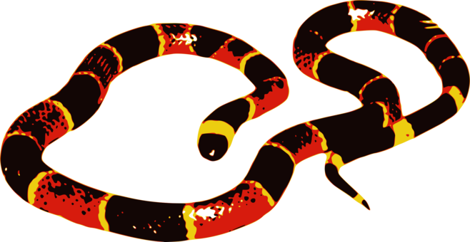 Boa Constrictor Snakes Reptile Milk Snake Eastern Coral - Boa Constrictor Snakes Reptile Milk Snake Eastern Coral (658x340)