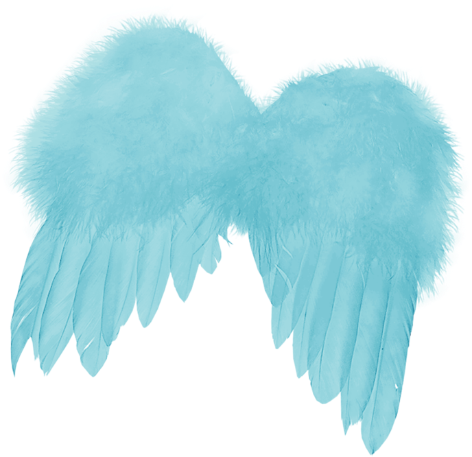 Wings Of Angels - Wings Of Angels (776x800)