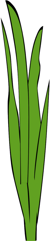 Picture Library Stylised Tree Free Graphics Illustrations - Picture Library Stylised Tree Free Graphics Illustrations (500x1000)