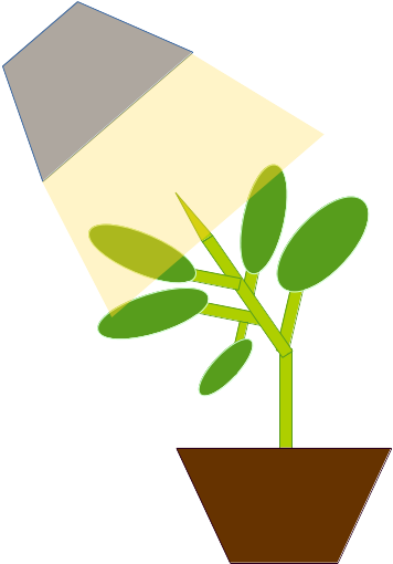 Phototropism Photography Google Search Supporting House - Phototropism Photography Google Search Supporting House (559x794)