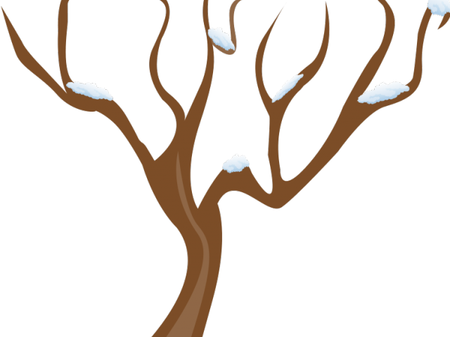 Plant Clipart Tree - Plant Clipart Tree (640x480)