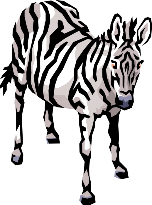African Zebra Horse Image - African Zebra Horse Image (518x700)