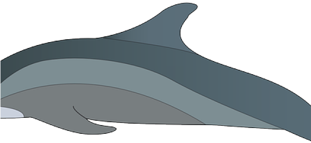 Spinner Dolphin Clipart Swimming Animal - Spinner Dolphin Clipart Swimming Animal (640x480)