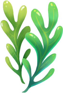 Image Loot Seaweed Club - Image Loot Seaweed Club (512x512)