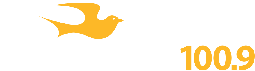 “black Panther” Returns To Theaters For Free - “black Panther” Returns To Theaters For Free (881x245)