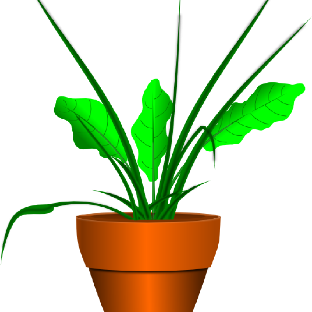 Clip Art Plant Free Plant Clipart Graphics Of Plants - Clip Art Plant Free Plant Clipart Graphics Of Plants (1024x1024)
