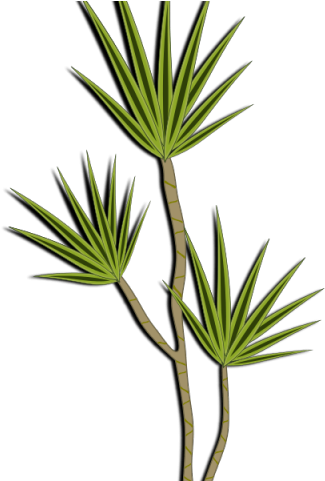 Desert Clipart Desert Bush - Desert Clipart Desert Bush (640x480)