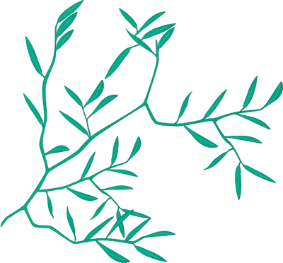 Ian Symbol Microstegium Vimineum 1 - Ian Symbol Microstegium Vimineum 1 (400x372)