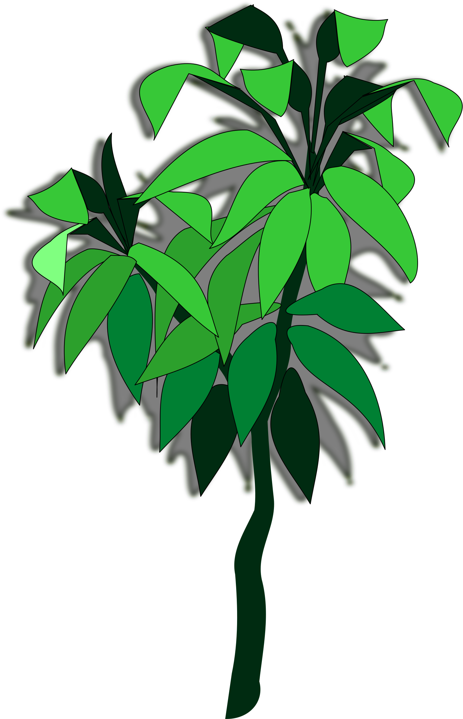 Branch Flowerpot Houseplant Leaf - Branch Flowerpot Houseplant Leaf (2400x2400)