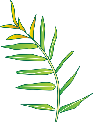 Ian Symbol Acrostichum Speciosum Branch - Ian Symbol Acrostichum Speciosum Branch (305x400)