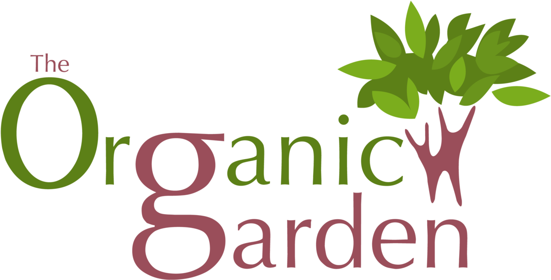 Buy Organic Vegetables,fruits & Groceries In Mumbai,india - Buy Organic Vegetables,fruits & Groceries In Mumbai,india (1130x620)