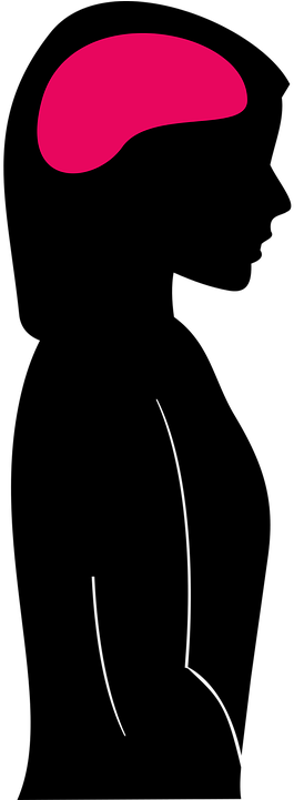 Brain-1293313 960 - Brain-1293313 960 (360x720)