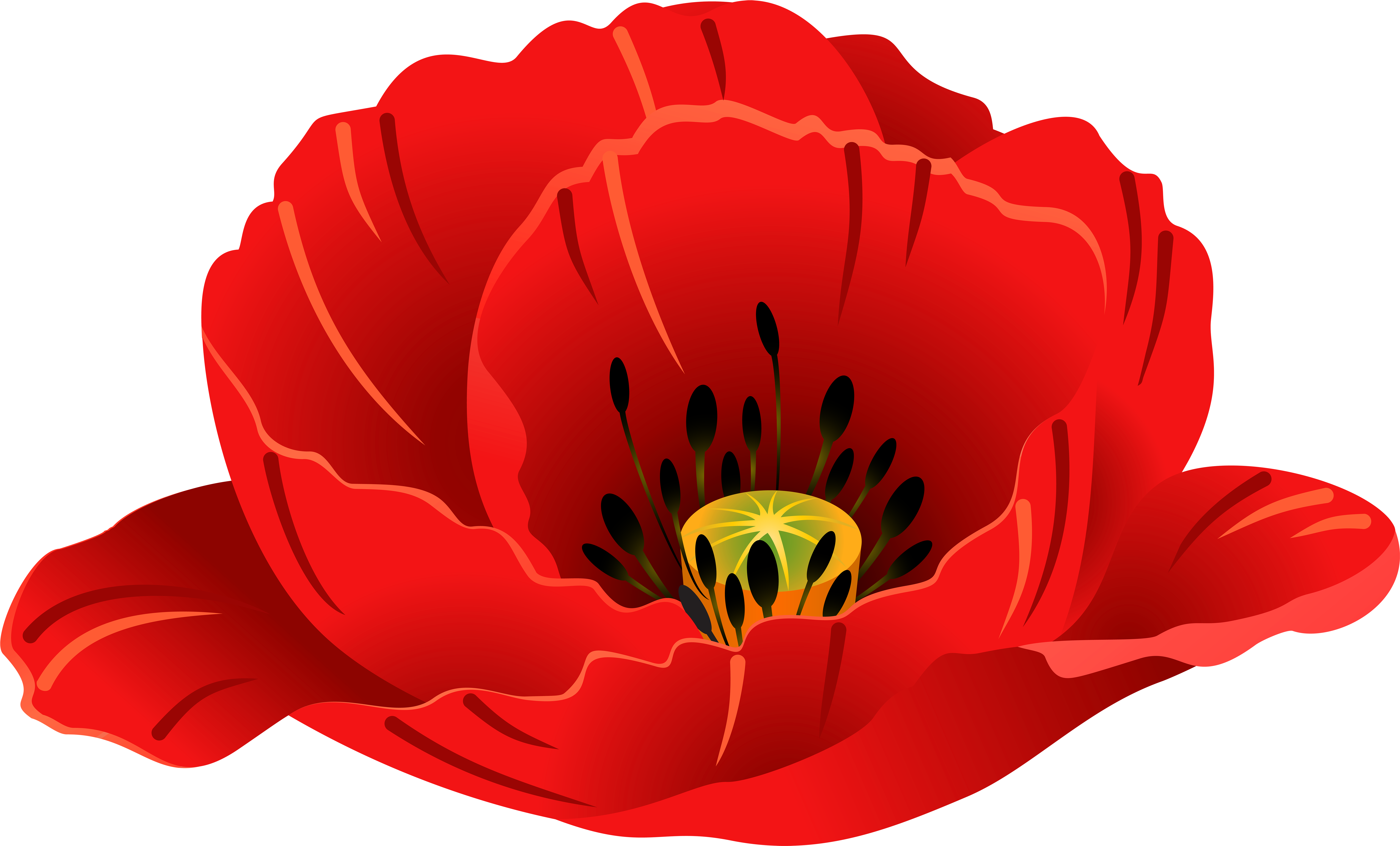 Patriotic Images, Art Images, Poppies, Clip Art, Art - Patriotic Images, Art Images, Poppies, Clip Art, Art (7891x4769)