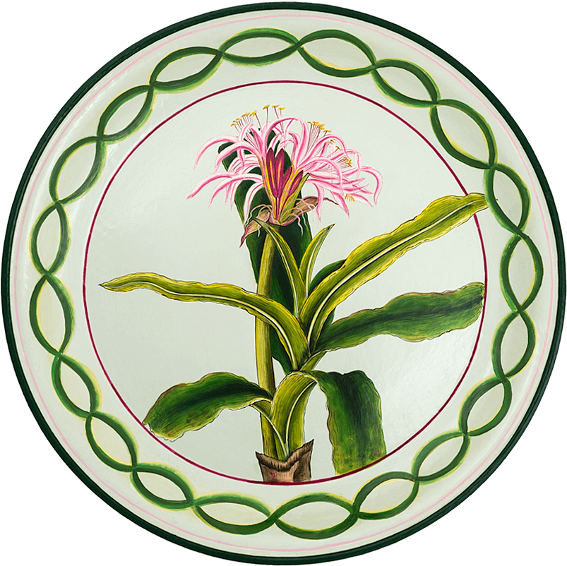 Tol-47 Lily - Tol-47 Lily (900x900)