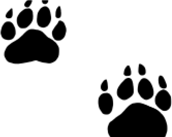 Svg Royalty Free Stock Grizzly Clipart Free On Dumielauxepices - Svg Royalty Free Stock Grizzly Clipart Free On Dumielauxepices (640x480)