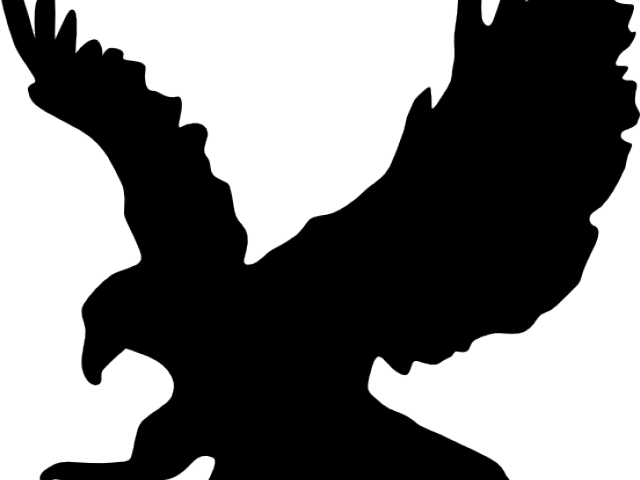 Scratches Clipart Hawk Claw - Scratches Clipart Hawk Claw (640x480)