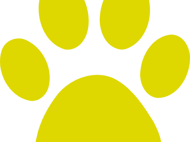 Scratches Clipart Paw Print - Scratches Clipart Paw Print (640x480)