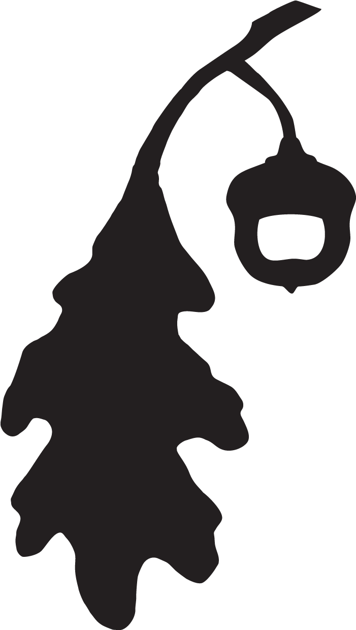 Oak Oaks & Acorns - Oak Oaks & Acorns (990x1392)