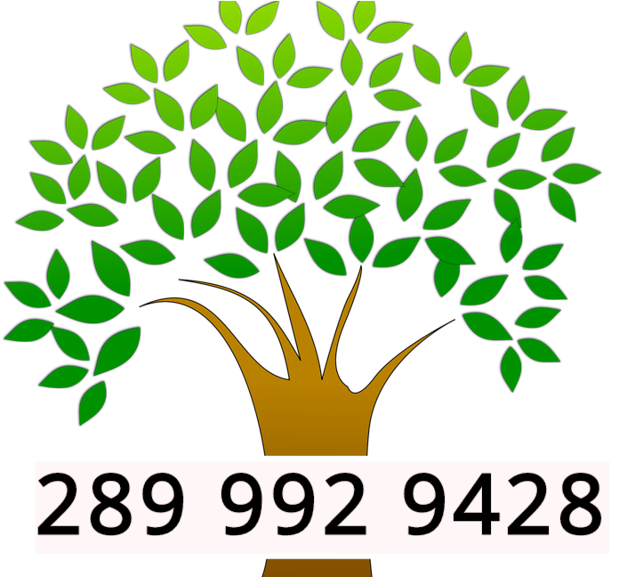 20% Off Tree Removal - 20% Off Tree Removal (705x648)