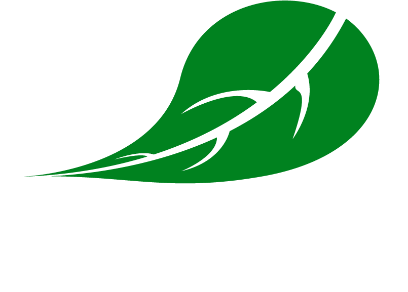 See Our Services - See Our Services (1280x720)