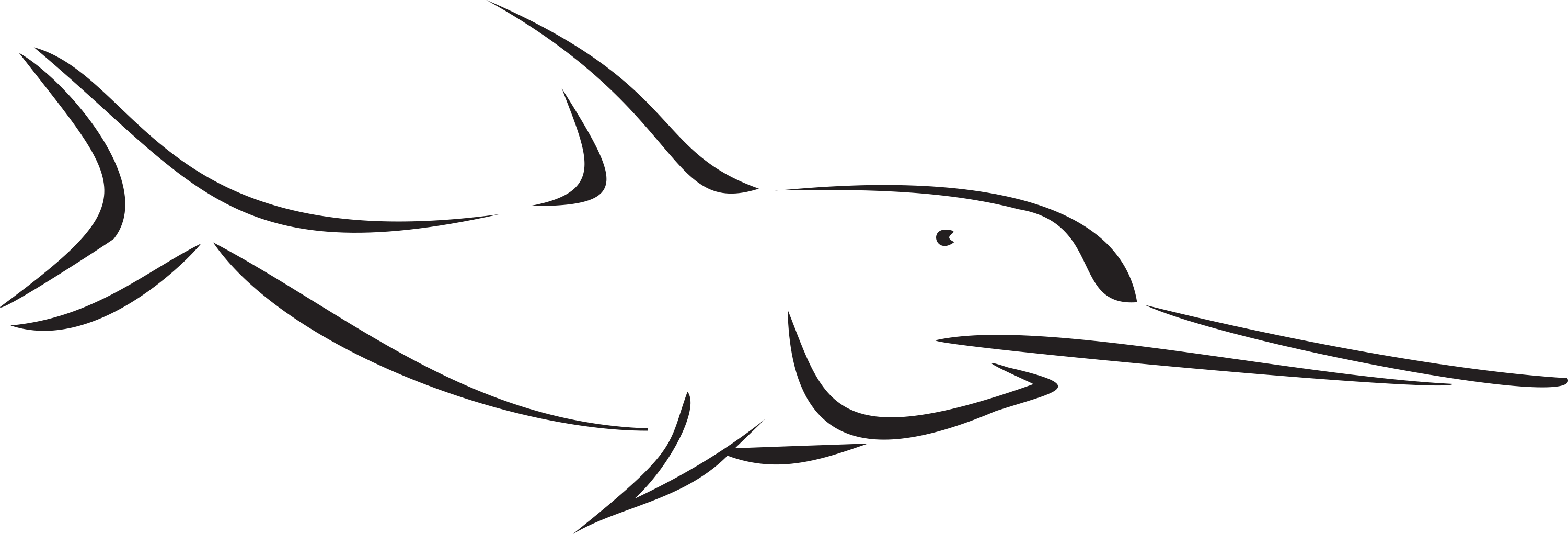 Charleston Inshore Fishing - Charleston Inshore Fishing (3000x1021)