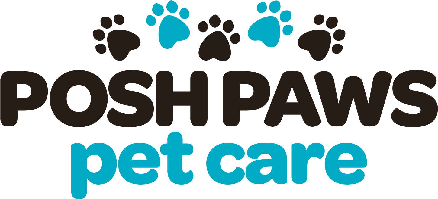 Charleston Afb, Sc Pet Sitters - Charleston Afb, Sc Pet Sitters (1501x738)