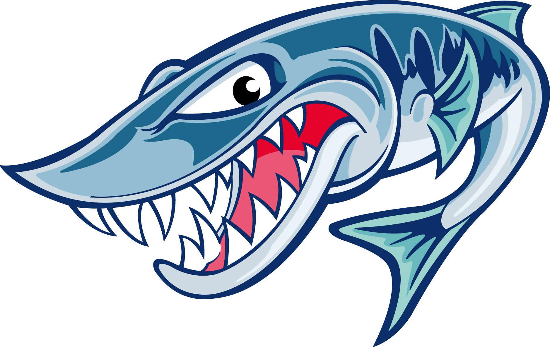 Visa / Mastercard - Visa / Mastercard (1878x1186)