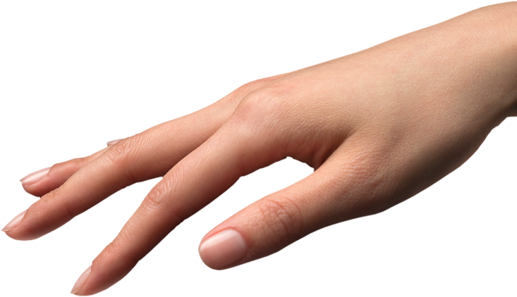 Reaching Hands Free Download - Reaching Hands Free Download (1440x421)