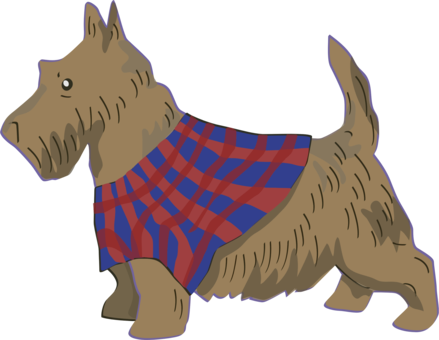 Scottish Terrier Cairn Terrier Scotland Puppy - Scottish Terrier Cairn Terrier Scotland Puppy (439x340)