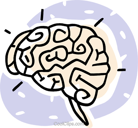 Human Brains Royalty Free Vector Clip Art Illustration - Human Brains Royalty Free Vector Clip Art Illustration (480x446)