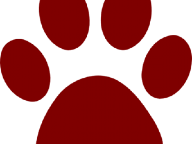 Maroon Clipart Paw Print - Maroon Clipart Paw Print (640x480)