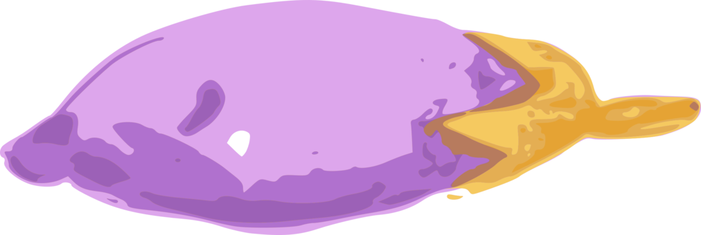 Thai Eggplant Vegetable Thai Cuisine Food - Thai Eggplant Vegetable Thai Cuisine Food (1012x340)