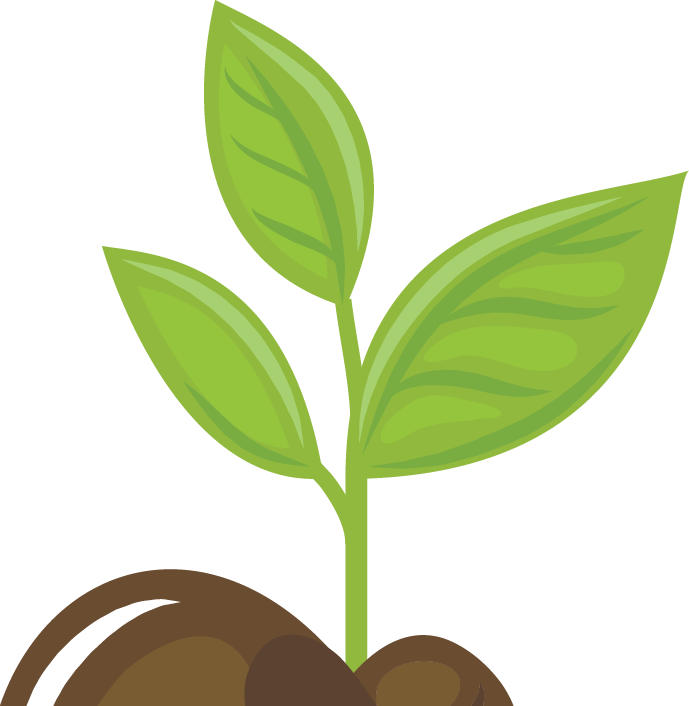 We Grow And Source As Many Plants As Possible From - We Grow And Source As Many Plants As Possible From (689x706)