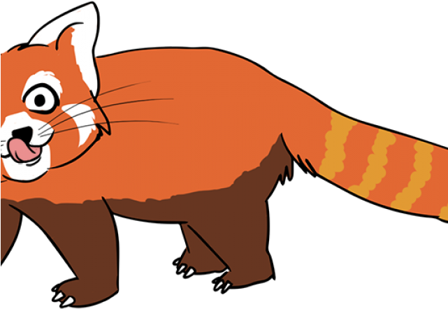 Red Panda Clipart Colorful - Red Panda Clipart Colorful (640x480)
