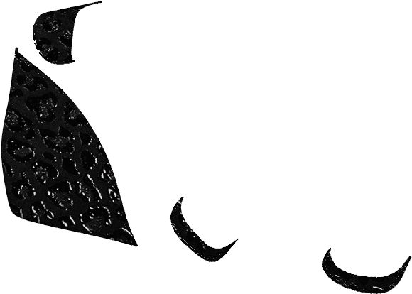 Y1508 Black Calvin Leather - Y1508 Black Calvin Leather (1024x768)