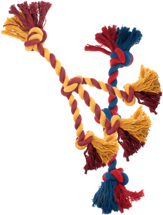 Does North Nogales Tech Really Think They Will Win - Does North Nogales Tech Really Think They Will Win (750x1121)