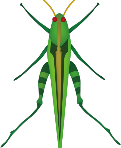 Locust Clipart Cricket Insect - Locust Clipart Cricket Insect (640x480)