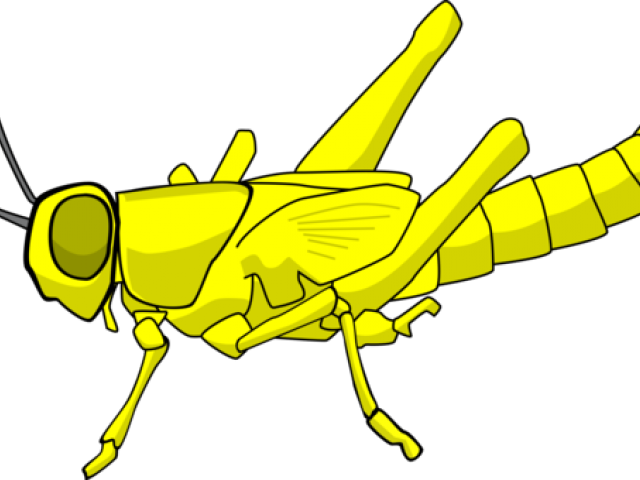 Locust Clipart Plague - Locust Clipart Plague (640x480)