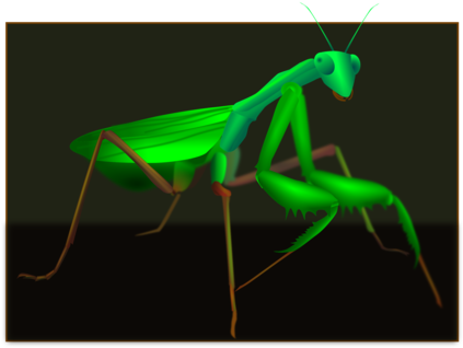 Clip Art Freeuse Download Grasshopper Clipart Plague - Clip Art Freeuse Download Grasshopper Clipart Plague (464x340)