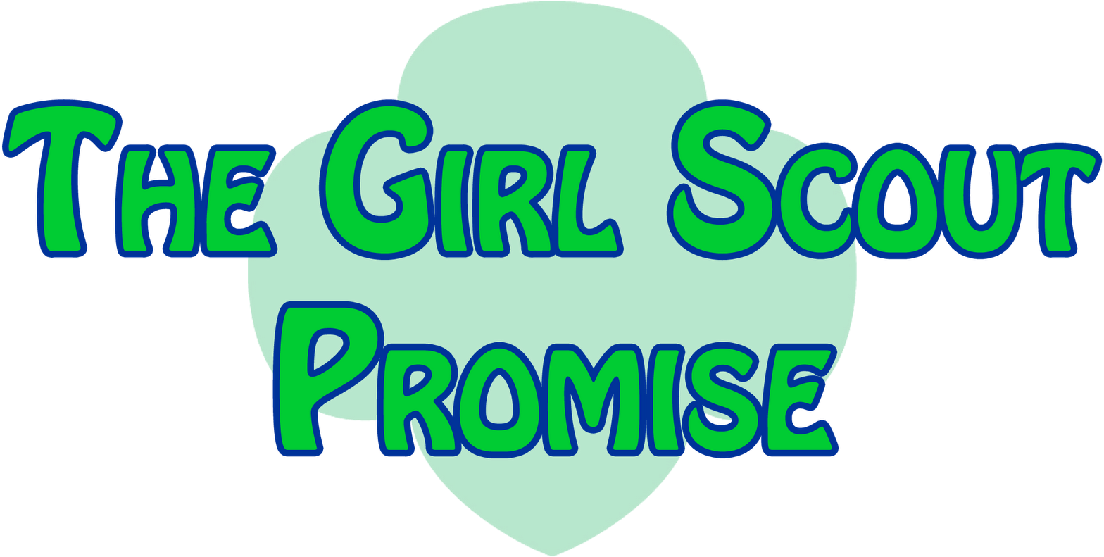 Troop Leader Mom Getting Started With Girl Scout Daisies - Troop Leader Mom Getting Started With Girl Scout Daisies (1600x1236)