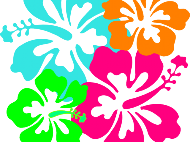Hibiscus Clipart Luau - Hibiscus Clipart Luau (640x480)
