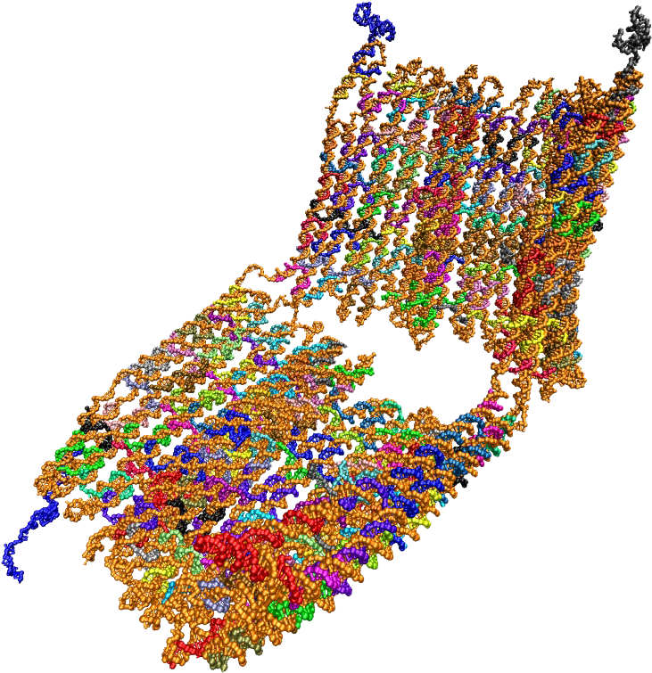 Computing Power Helps Researchers Unlock Dna S - Computing Power Helps Researchers Unlock Dna S (754x788)