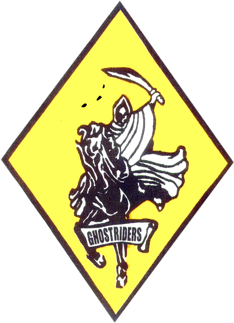 Fighter Squadron 142 Insignia C1984 - Fighter Squadron 142 Insignia C1984 (974x1316)
