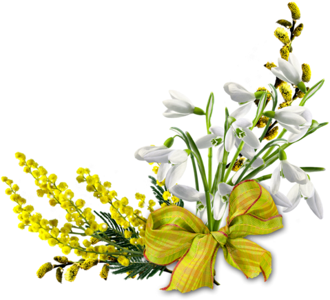 Snowdrops - Snowdrops (500x469)