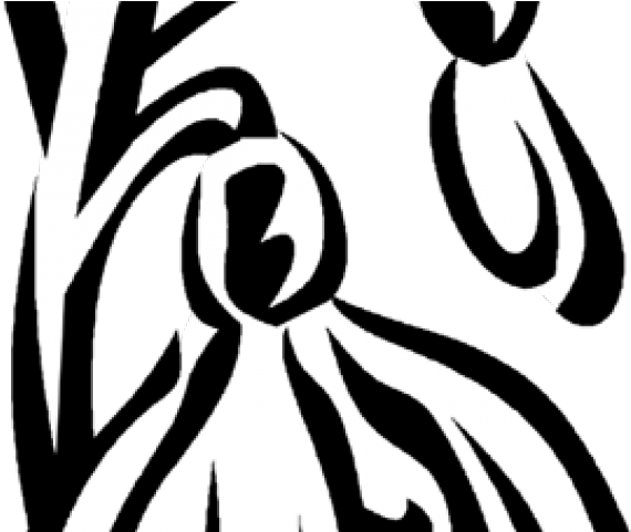 Snowdrop Clipart Black And White - Snowdrop Clipart Black And White (640x480)
