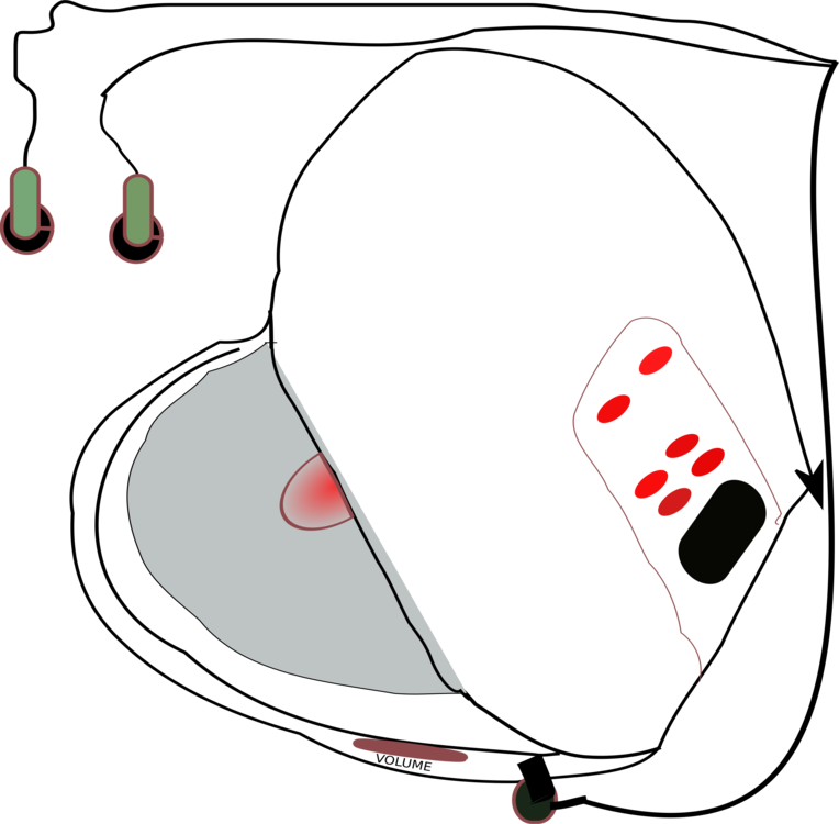 Compact Disc Discman Cd Player Disk Storage Download - Compact Disc Discman Cd Player Disk Storage Download (764x750)