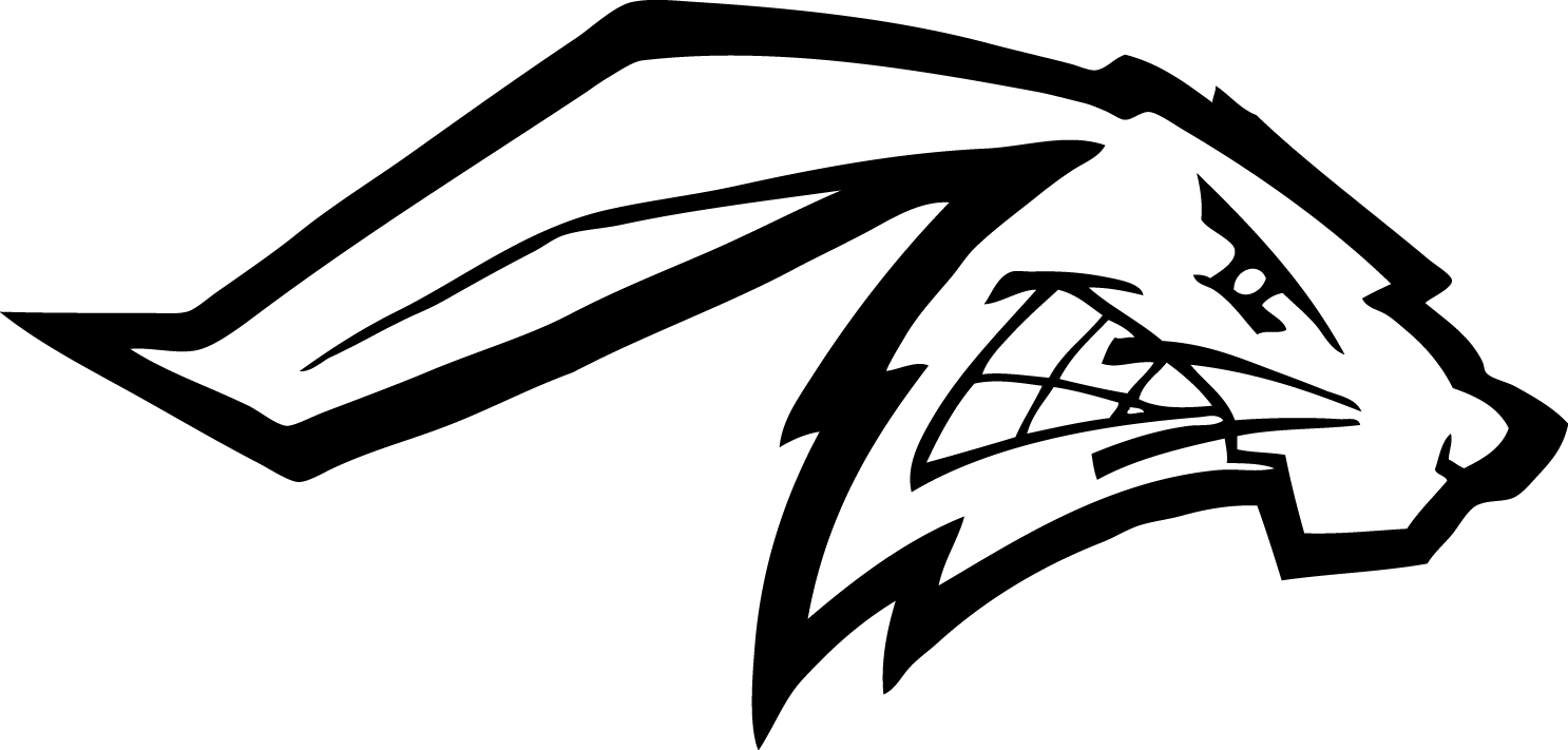 These Logos And Mascots Are For Personal Use Only - These Logos And Mascots Are For Personal Use Only (1486x711)