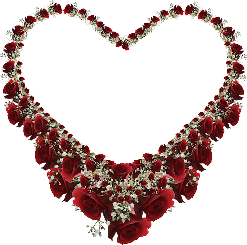 Фото, Автор K - Фото, Автор K (500x496)